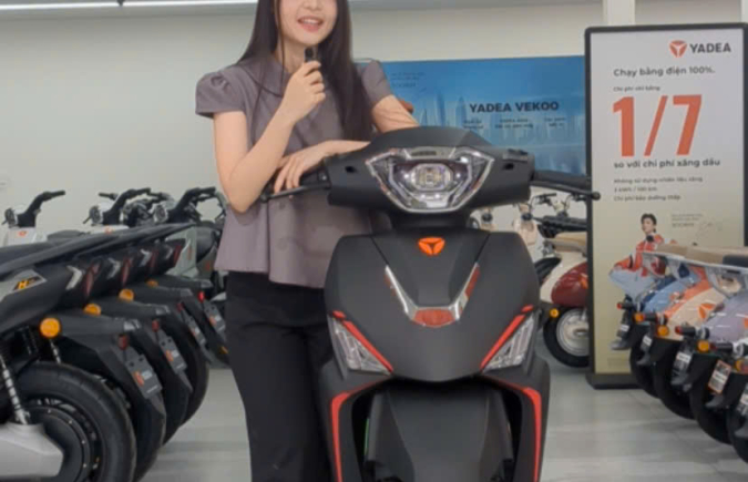 YADEA VoltGuard U80 2PIN